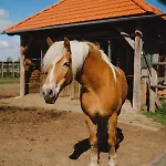 Gospodarstwo agroturystyczne Zelazna Podkowa *