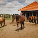 Gospodarstwo agroturystyczne Zelazna Podkowa *