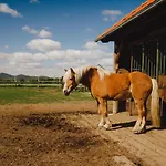 Zelazna Podkowa Farm stay Modliszow