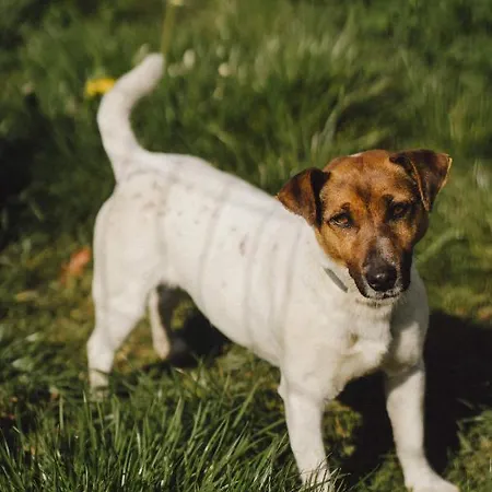 Zelazna Podkowa Agroturismo
