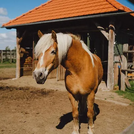 Фермерский дом Zelazna Podkowa *