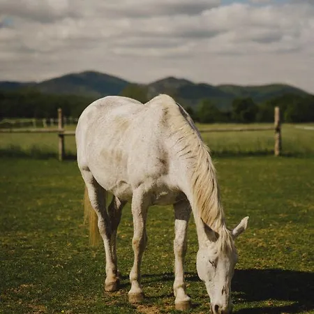 Zelazna Podkowa Agroturismo