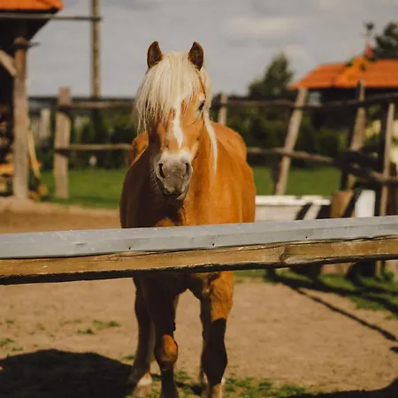 Podkowa Farm stay *