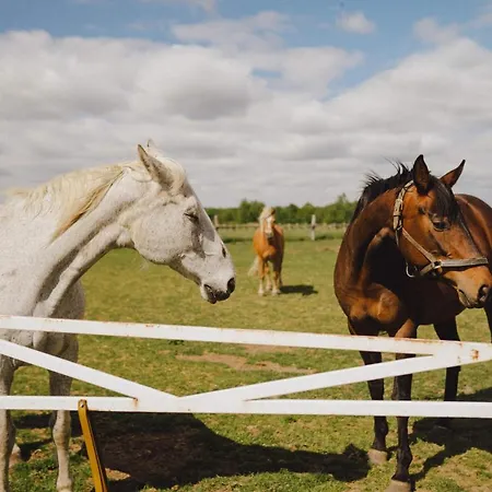 Zelazna Podkowa * Modliszów