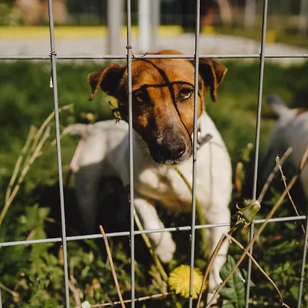 Фермерский дом Zelazna Podkowa