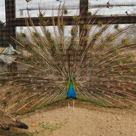 Agroturismo Zelazna Podkowa