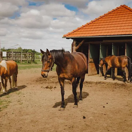 Farm stay Zelazna Podkowa *