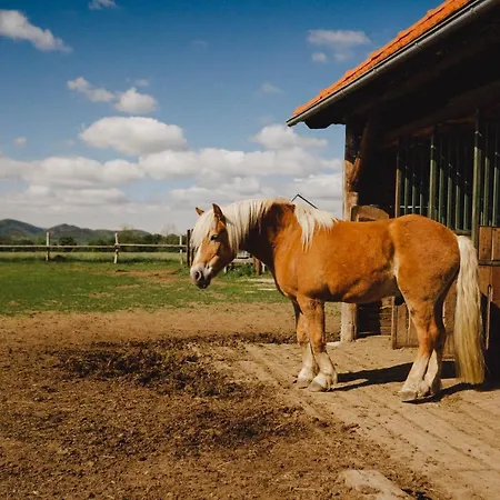 Zelazna Podkowa Farm stay Modliszow