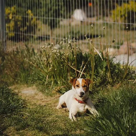 Фермерский дом Zelazna Podkowa Модлишув