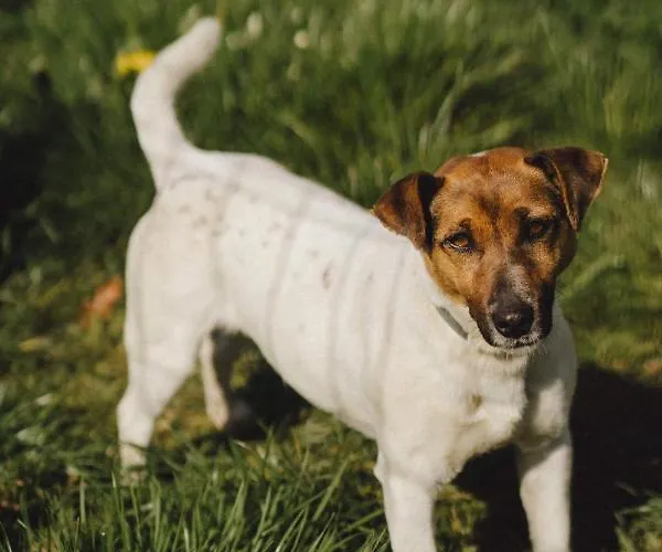 Zelazna Podkowa Bauernhof