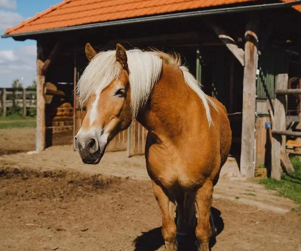 Bauernhof Zelazna Podkowa *