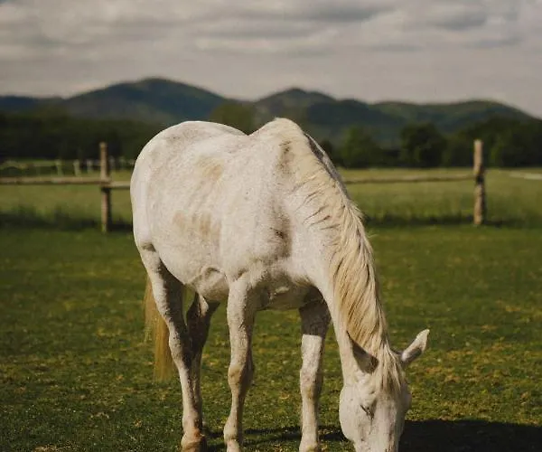 Zelazna Podkowa Bauernhof