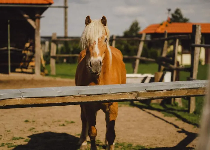 Zelazna Podkowa Bauernhof *