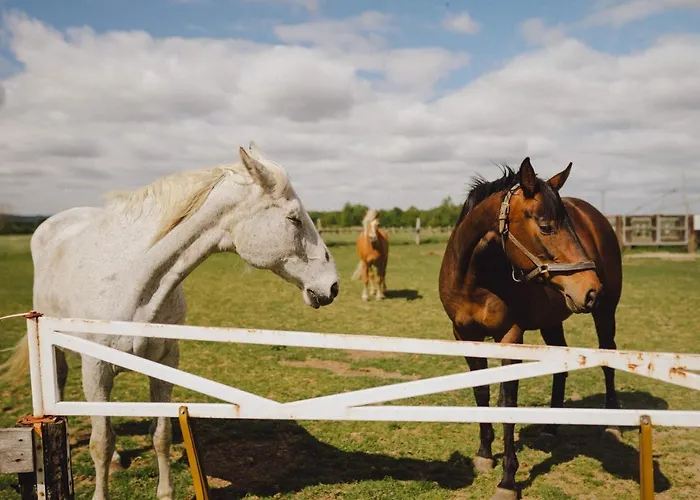 Zelazna Podkowa * Modliszów