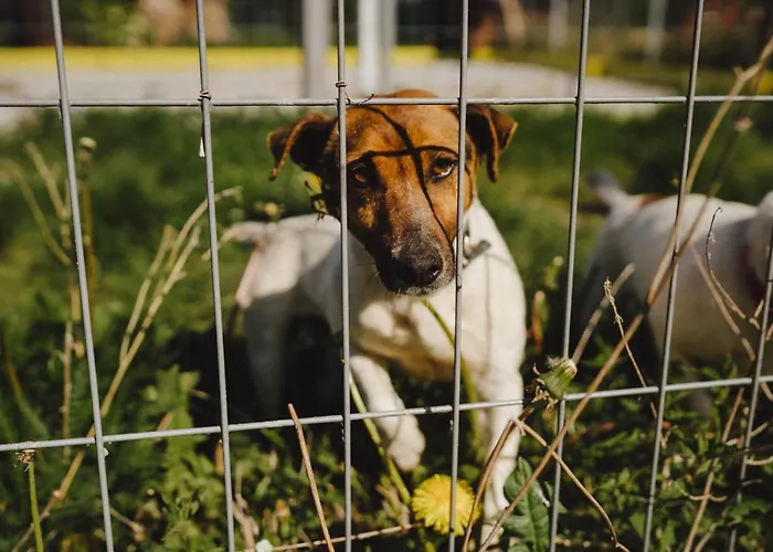 Bauernhof Zelazna Podkowa