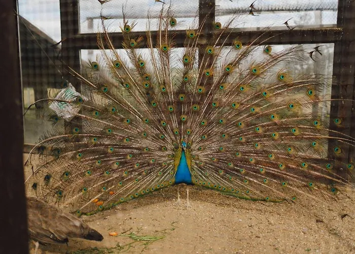 Bauernhof Zelazna Podkowa