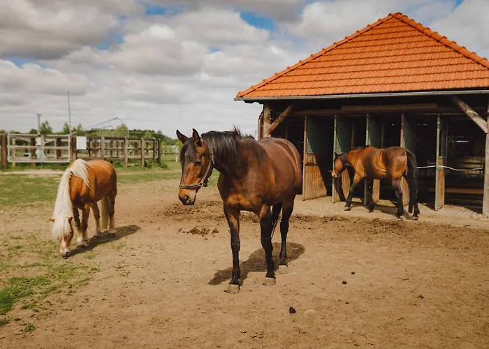 Bauernhof Zelazna Podkowa *