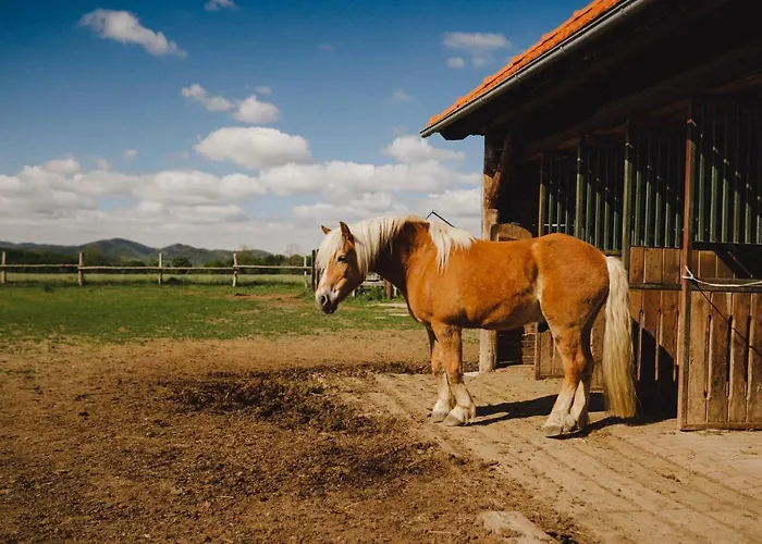 Zelazna Podkowa Bauernhof Modliszów