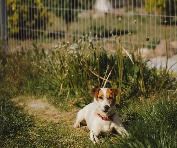 Bauernhof Zelazna Podkowa Modliszów